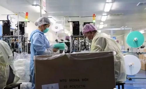 服裝廠一夜變身口罩廠 政府補貼百萬，紡織業轉型加速