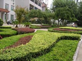 濰坊麗景園林 2009年園林綠化工程的實踐與傳承