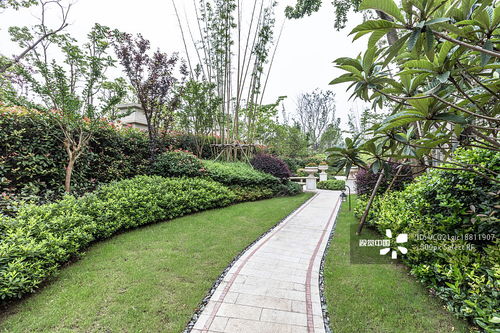 鏡中園林 攝影鏡頭下的綠化美學